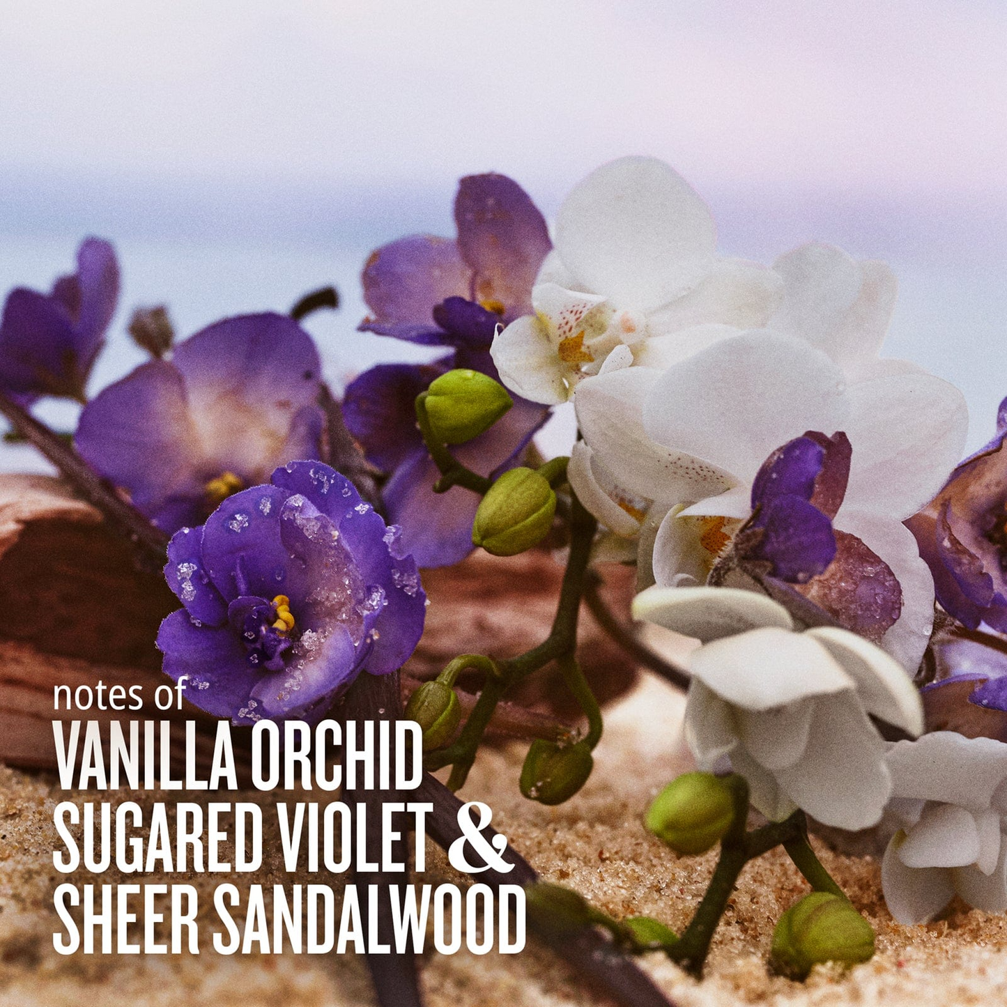 Mood-Boosting Duo | Online Exclusive