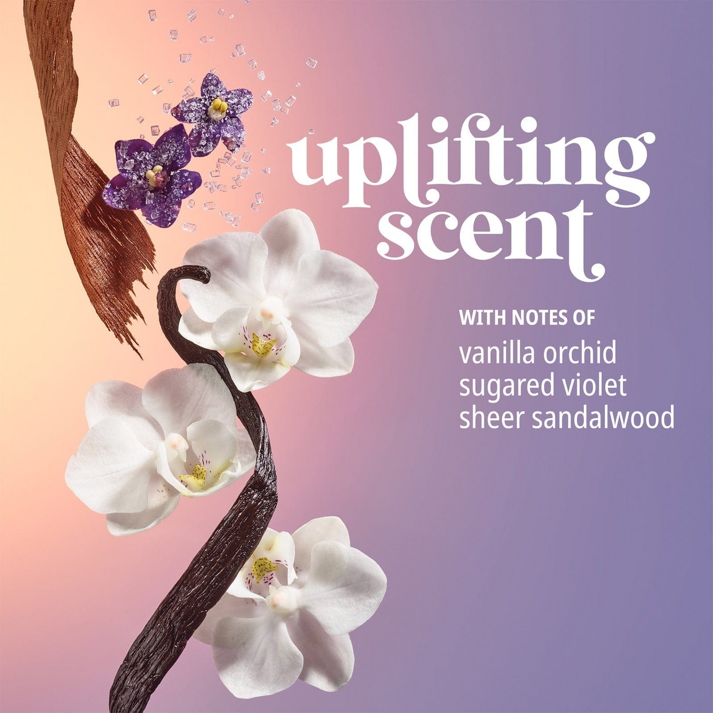 Deep Moisture Routine